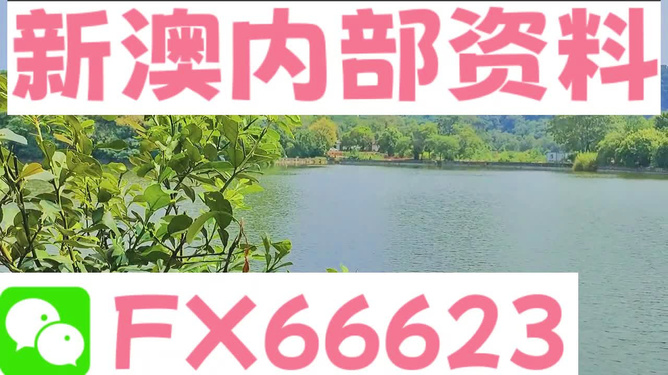 新澳最精准免费资料大全298期,实际应用解析说明_YE版42.148