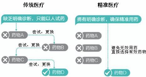 新澳精准资料免费提供,仿真实现方案_黄金版43.856