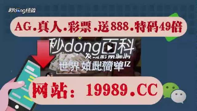 2024今晚新澳门开奖结果,效率资料解释落实_WP版58.374