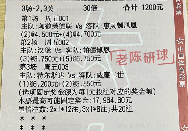 2024澳门特马今晚开奖113期｜全面解读说明