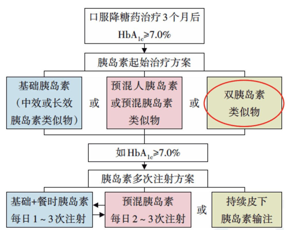 新澳精准资料｜全面解读说明